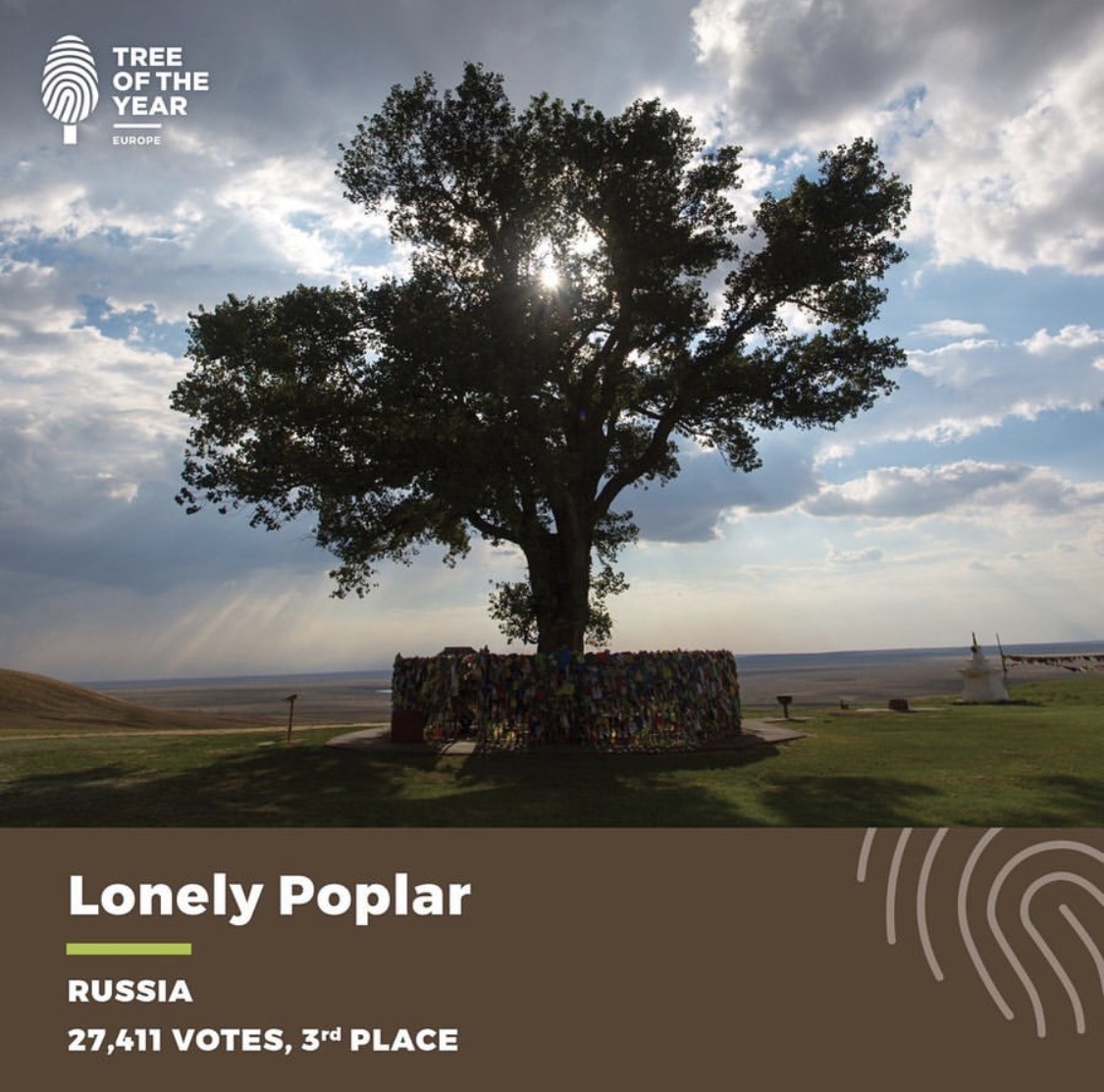 European Tree of the Year friendsofthecountryside
