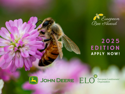 European Bee Award (A5 (Paysage)) (13)