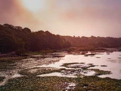natur-miljo-Farsksjon-Eriksberg_hotell_safaripark-Blekinge-001-1500px (2)